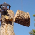 Osorio Landscaping and Tree Services