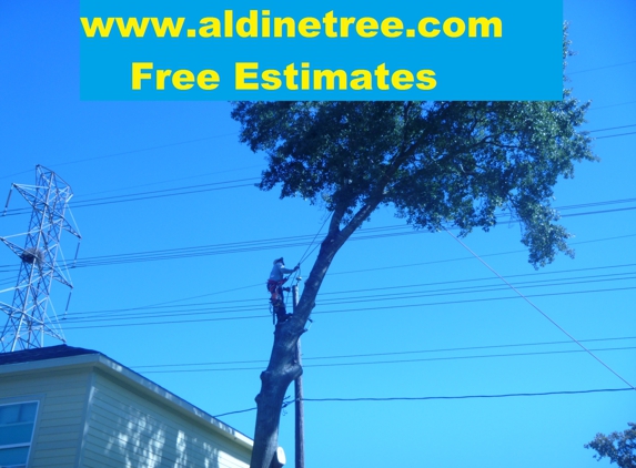 Aldine Tree Services Houston Stump Grinding - Houston, TX. Delfino Sanchez