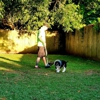 Citizen Canines gallery