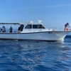 Captain Tony's Fishing Adventures gallery