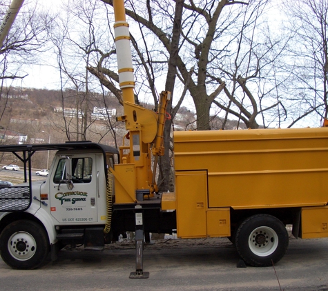 Connecticut Tree Service of Naugatuck, LLC - Naugatuck, CT