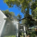 Danny McClain's Tree Care - Tree Service
