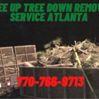 Tree Up Tree Down Removal Service Atlanta