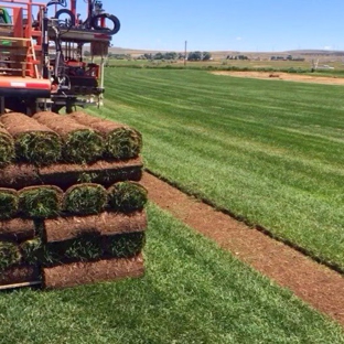 Sod King - Salt Lake City, UT