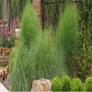 Trinity Landscaping - Landscape Designers & Consultants