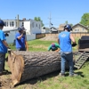 Patriot Tree Experts gallery