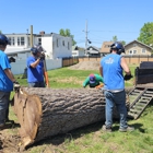 Patriot Tree Experts