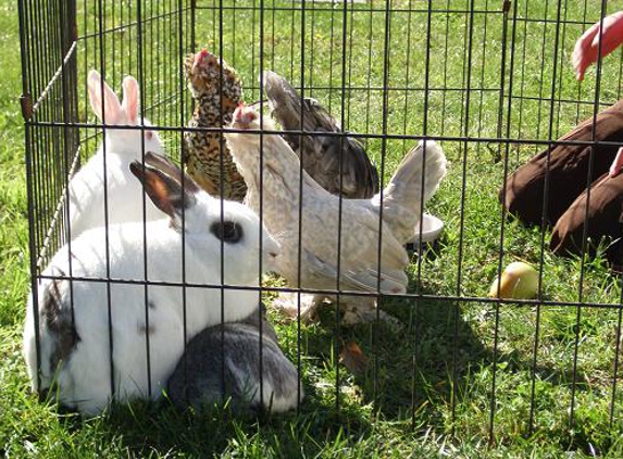 Once Upon A Pony & Petting Zoo - Morgan Hill, CA