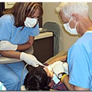 Robert J Foster DDS - Dentists