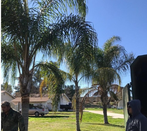 Ed's Tree Services - San Bernardino, CA