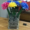 Pediatric Dentistry of Brandon - Dental Hygienists