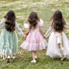 Parkkonen Photography gallery