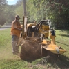 Etter's Tree & Stump Service gallery