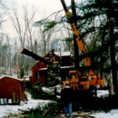 All-Pro Tree Service - Tree Service