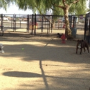 Menifee Dog Park - Dog Parks