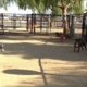 Menifee Dog Park