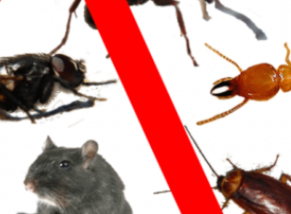 JM Pest Control Services - Donalds, SC