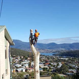 Horizon Tree Service - Lutana, TAS
