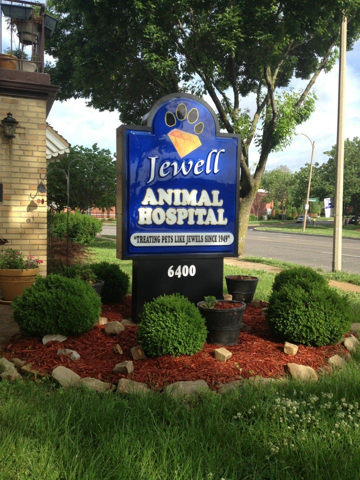 Jewell Animal Hospital - Saint Louis, MO 63109
