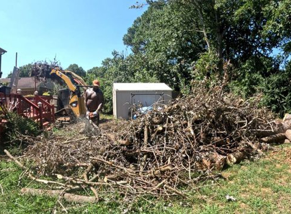 AJ's Tree Removal - Virginia Beach, VA