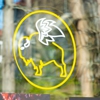 Buffalo Wild Wings gallery