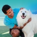 Pet Paradise - Hostels