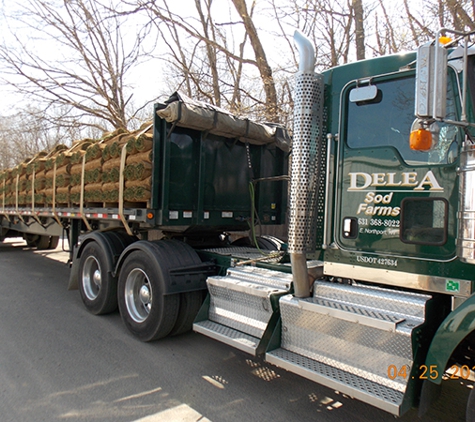 Delea Sod Farms - East Northport, NY