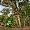 Easy Tree Service gallery