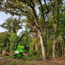 Easy Tree Service - Tree Service