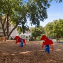 Camden Sedgebrook Apartments - Apartments