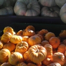 Joan's Farm & Pumpkin Patch - Fruit & Vegetable Growers & Shippers