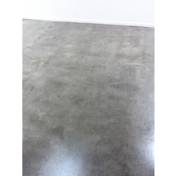 Gallery Image Number 7