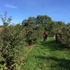 Oriole Springs Orchard