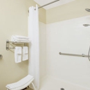 Microtel Inn & Suites by Wyndham Seneca Falls - Hotels