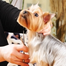 Canine Club - Pet Grooming