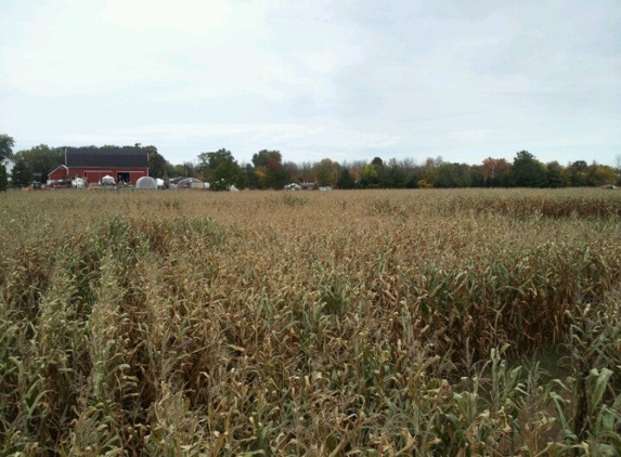 Cobble Creek Farm - Spencerport, NY