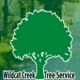 Wildcat Creek Tree Service