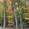 West Creek Reservation gallery