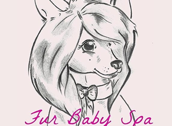 Fur Baby Pet Spa - Menasha, WI