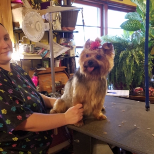 Pam's Pet Grooming - Southaven, MS