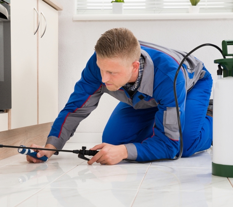 Australian Pest Specialists - Chittaway Bay, NSW
