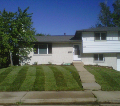 Lawn Pro Solutions - denver, CO