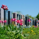 Vine Street Hill Cemetery Assn