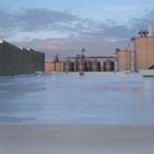 Iconic Roof Preservation