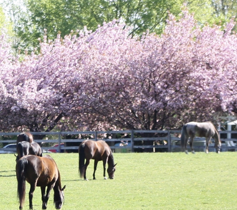 Millhaven Horse Farm Derwood - Derwood, MD