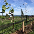 Marchesi Vineyards - Wineries