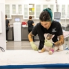 Surgipet: Surgery Center for Pets gallery
