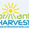 Brilliant Harvest gallery