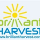 Brilliant Harvest