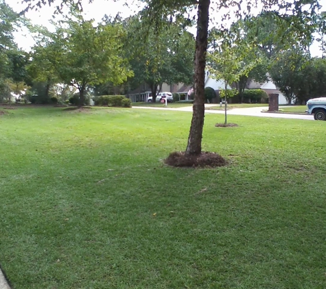 J&L Lawn Care Service - Dothan, AL